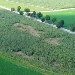 Elektrická síť proti divokým prasatům, modrá, výška 63 cm, délka 50 m