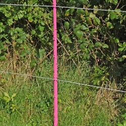 Plastový sloupek pro elektrický ohradník, délka 105 cm, 10 oček, zelený - kopie - kopie - kopie - kopie - kopie - kopie