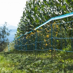 Elektrická síť proti divokým prasatům, modrá, výška 63 cm, délka 50 m