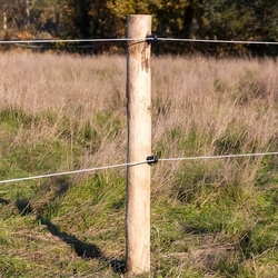 Izolátor pro elektrický ohradník kruhový, pro drát, lanko, lano a pásku do 12 mm - 25 ks